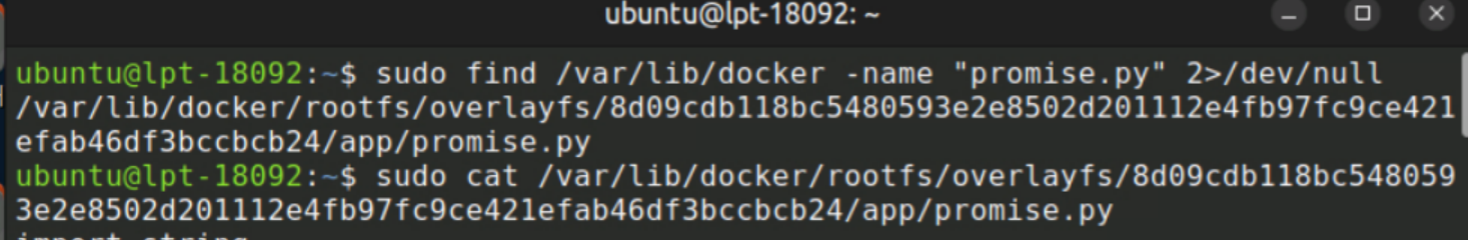 promise.py located inside Docker overlay